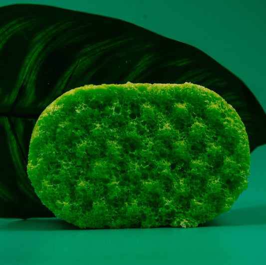 Africa Soap Sponge